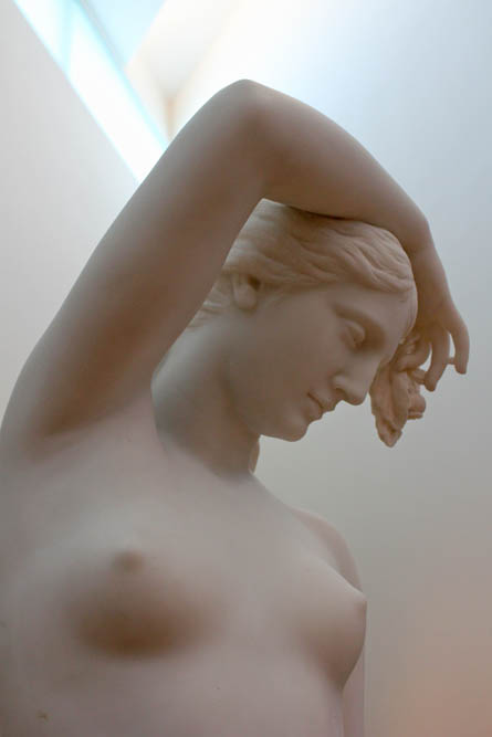 <p>(c) Didier Gualeni</p>