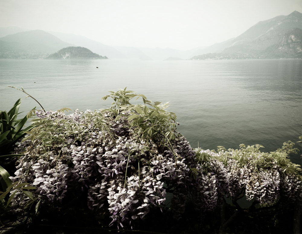 <p>(c) Didier Gualeni</p>