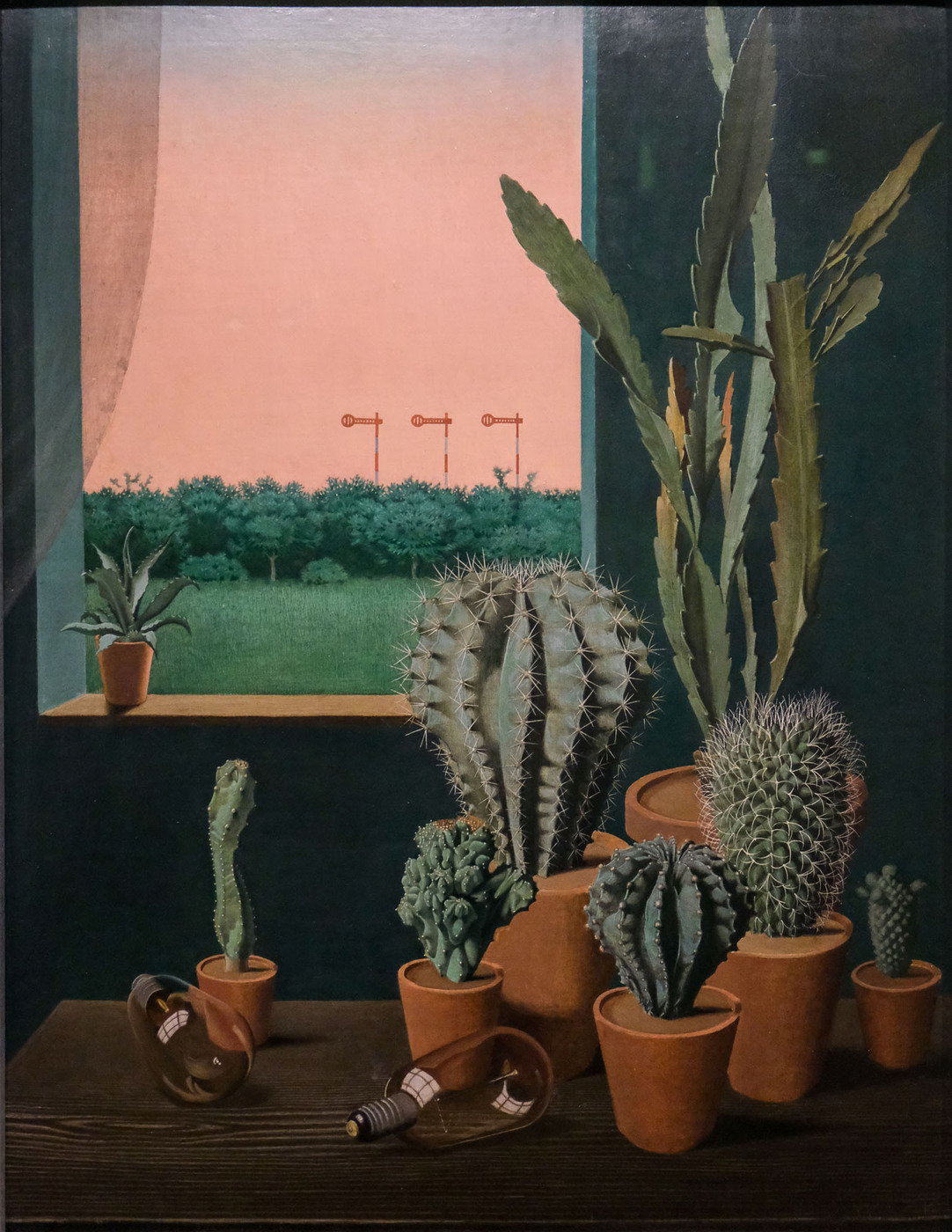 <p>(c) Didier Gualeni</p>