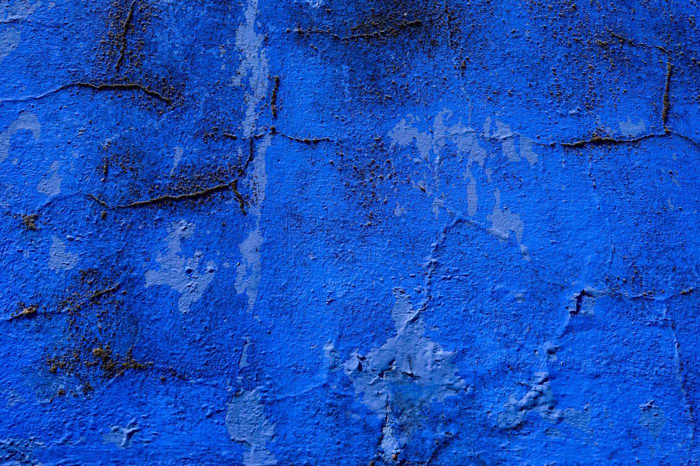 <p>&copy. Didier Gualeni</p>