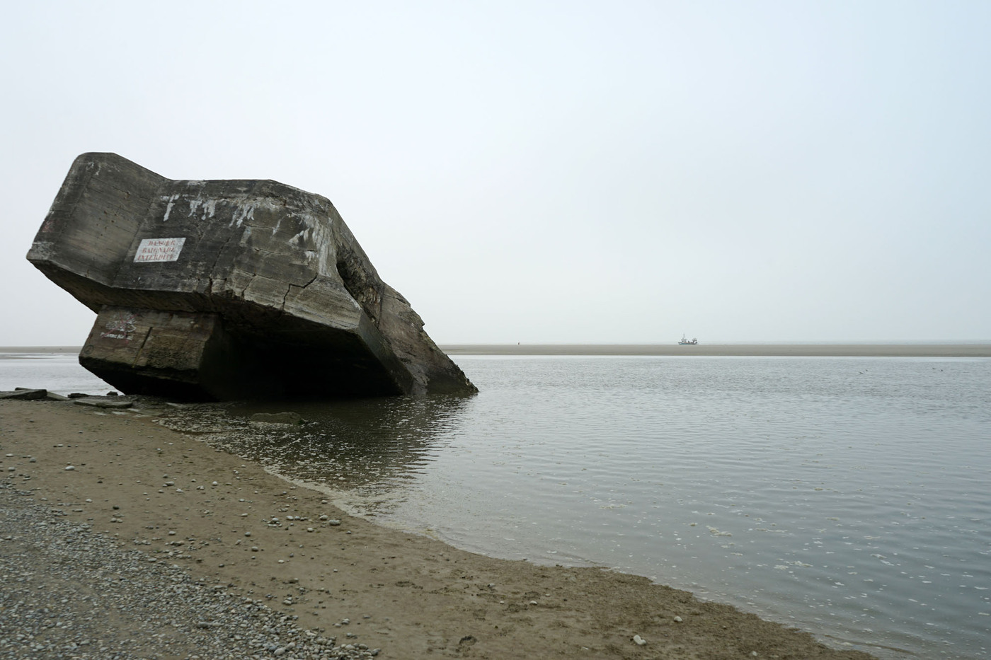 <p>(c) Didier Gualeni</p>