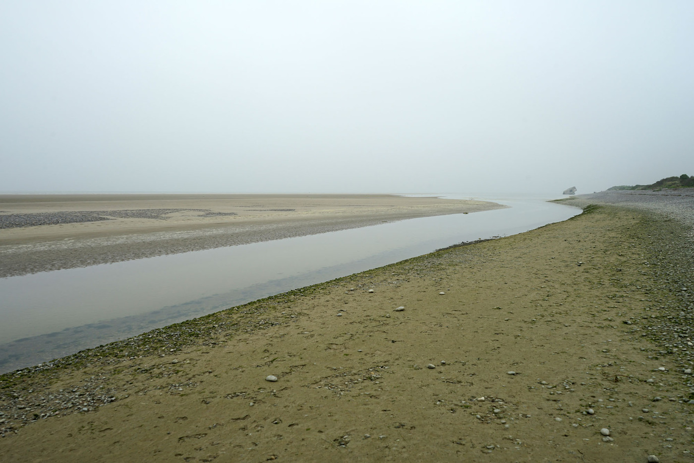 <p>(c) Didier Gualeni</p>