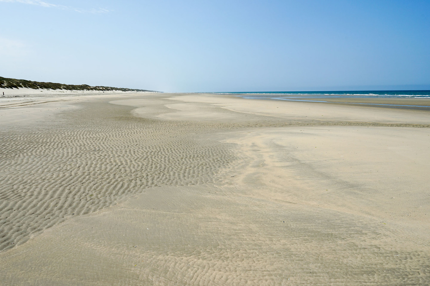 <p>(c) Didier Gualeni</p>