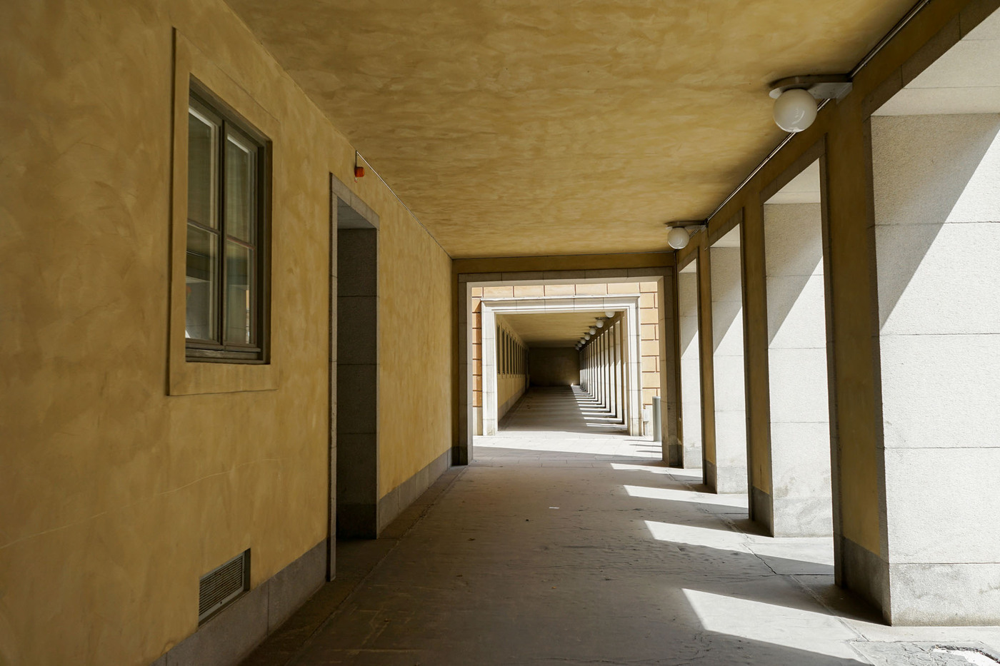 <p>(c) Didier Gualeni</p>