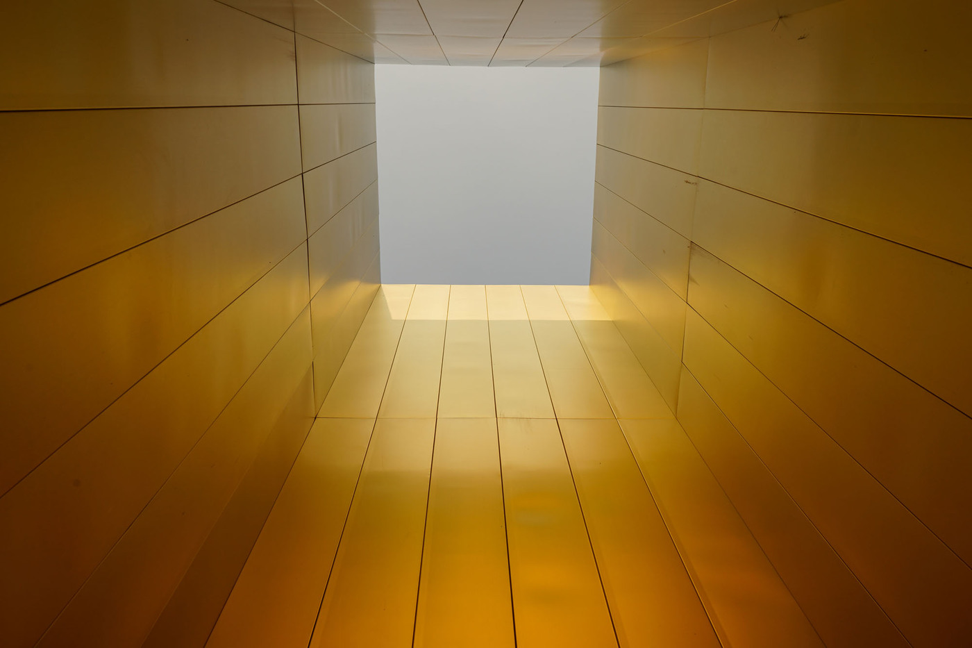 <p>(c) Didier Gualeni</p>