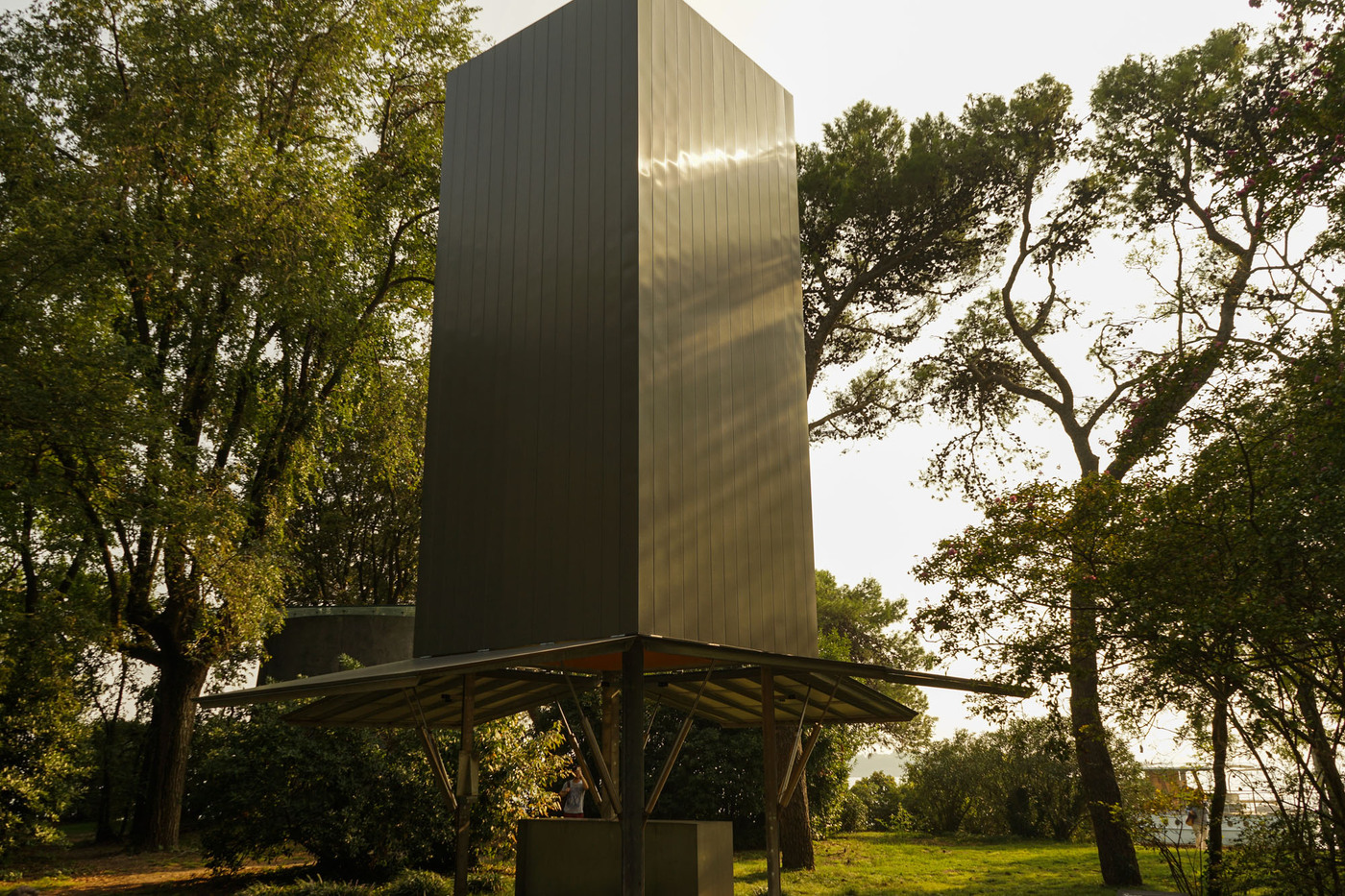 <p>(c) Didier Gualeni</p>