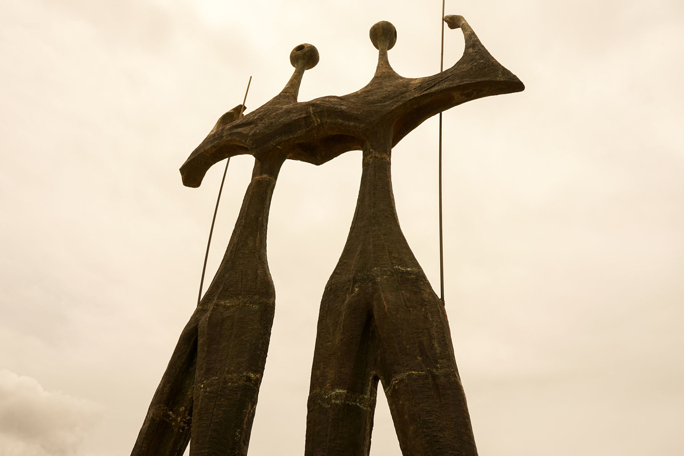 <p>(c) Didier Gualeni</p>