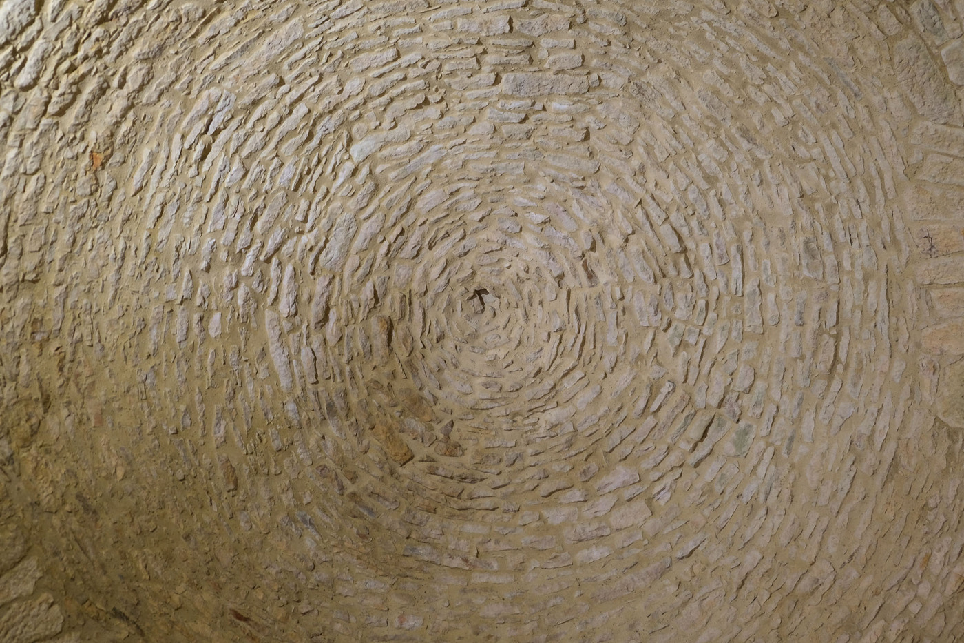 <p>(c) Didier Gualeni</p>