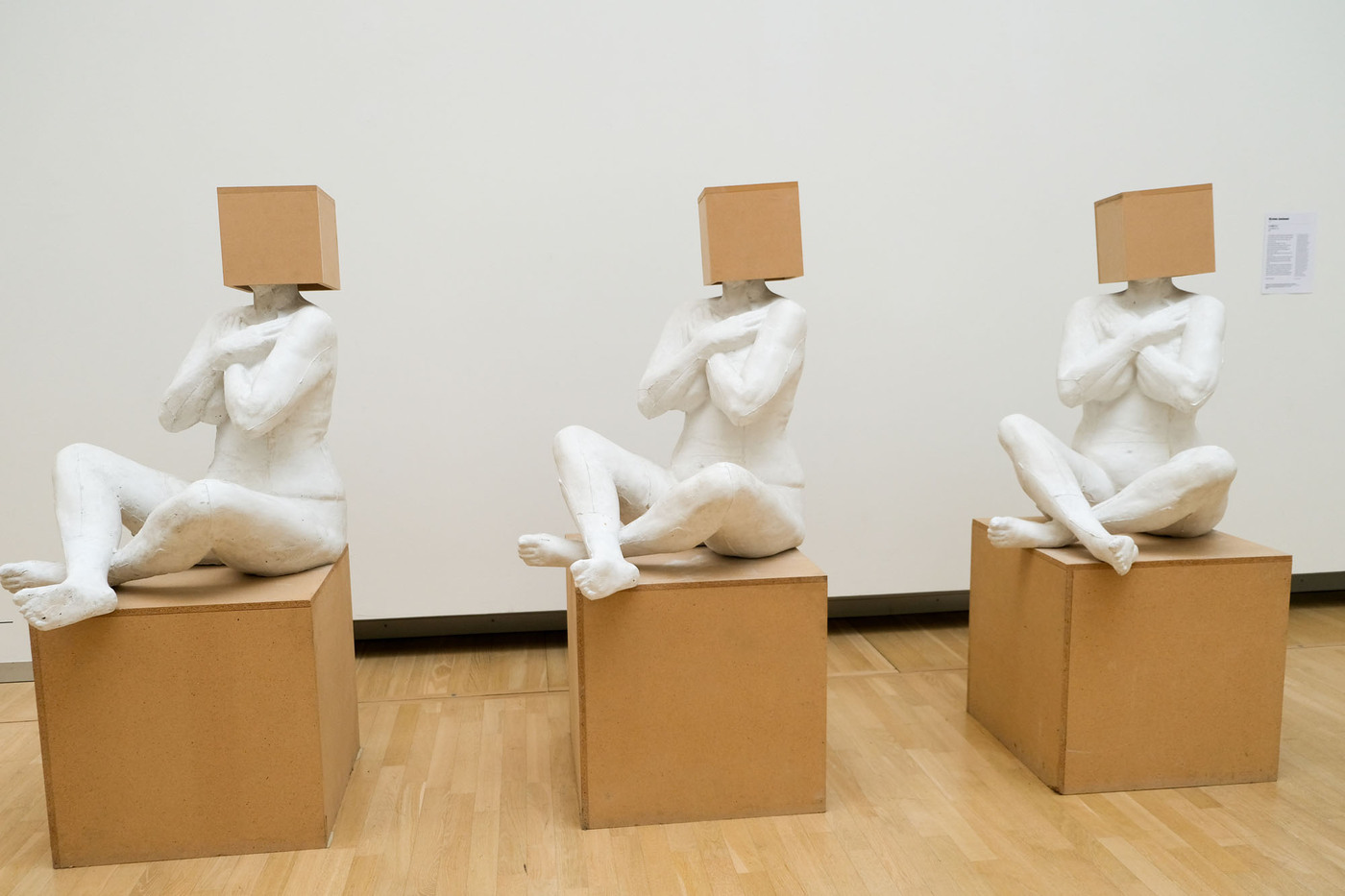 <p>(c) Didier Gualeni</p>