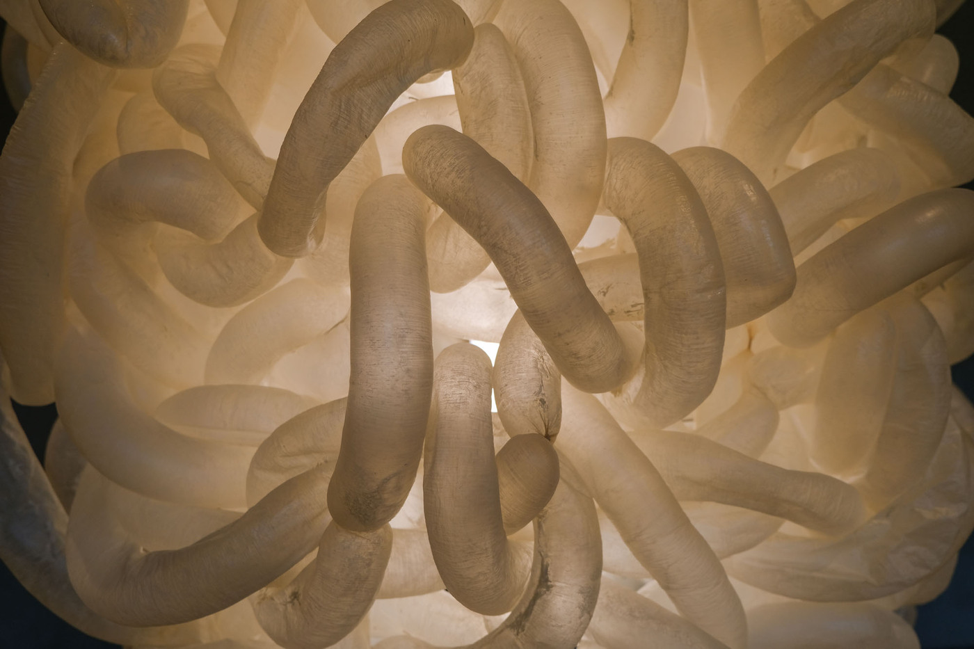 <p>(c) Didier Gualeni</p>
