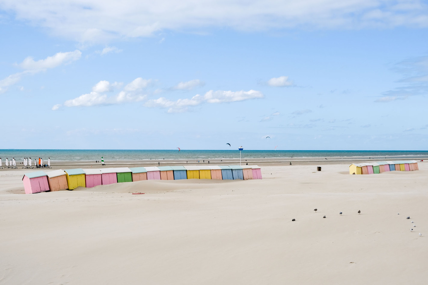 <p>(c) Didier Gualeni</p>