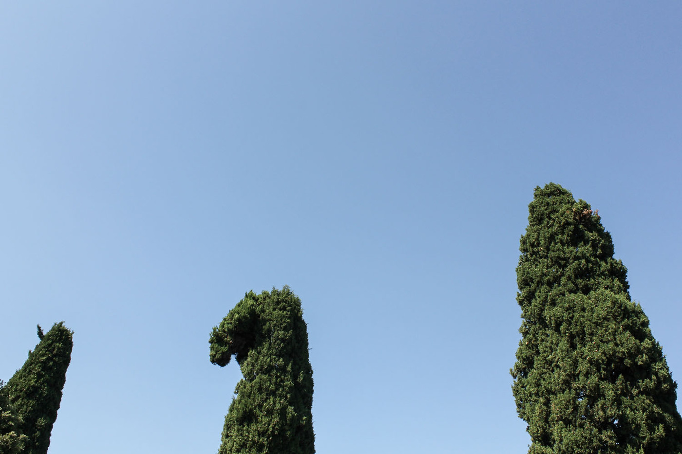 <p>(c) Didier Gualeni</p>
