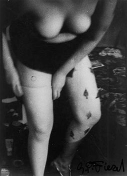 <p>(c) G.P Fieret</p>