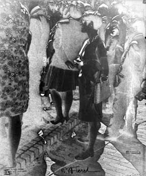 <p>(c) G.P Fieret</p>