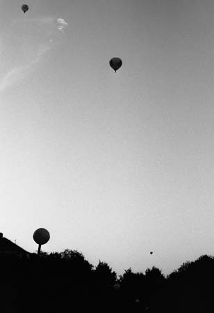 <p>(c) Didier Gualeni</p>