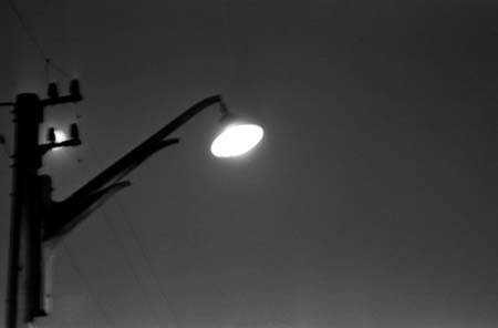 <p>(c) Didier Gualeni</p>