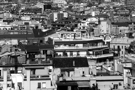 <p>(c) Didier Gualeni</p>