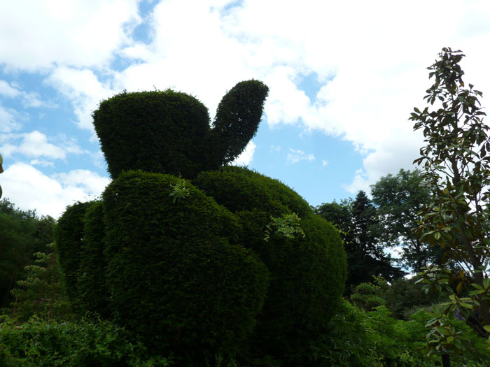 <p>(c) Didier Gualeni</p>