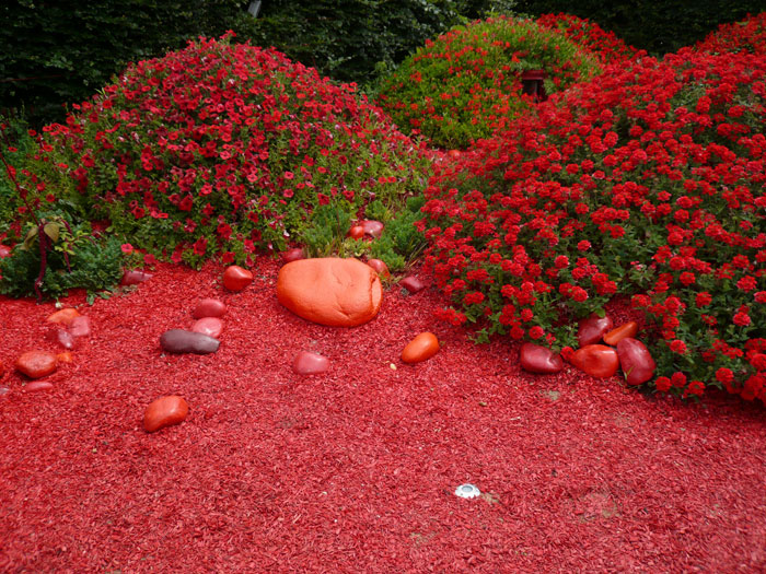 <p>(c) Didier Gualeni</p>