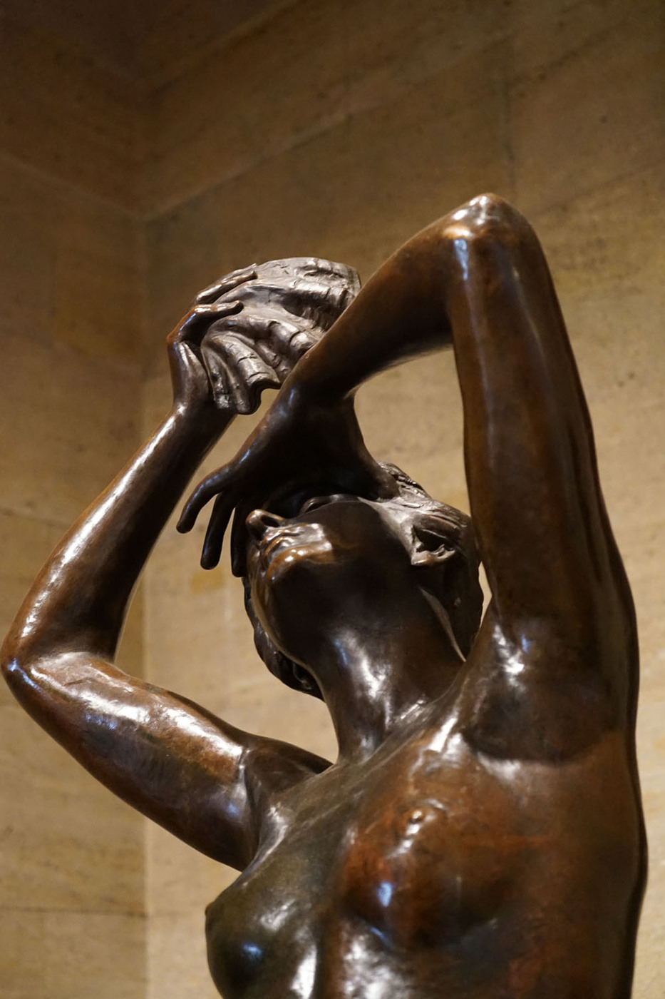 <p>(c) Didier Gualeni</p>
